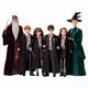 Lalka Harry Potter Komnata Tajemnic mix, 