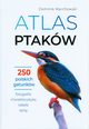 Atlas ptakw, Marchowski Dominik