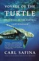 Voyage of the Turtle, Safina Carl