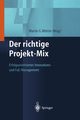 Der richtige Projekt-Mix, 