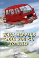 What Happens When You Go To Sleep, Ellison J Arvid