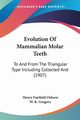 Evolution Of Mammalian Molar Teeth, Osborn Henry Fairfield