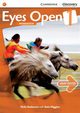 Eyes Open 1 Workbook with Online Practic, Anderson Vicki, Higgins Eoin