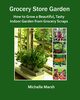 Grocery Store Garden, Marsh Michelle