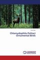 Chlamydophila Psittaci Ornamental Birds, Elezi Ymer