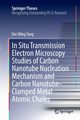 In Situ Transmission Electron Microscopy Studies of Carbon Nanotube Nucleation Mechanism and Carbon Nanotube-Clamped Metal Atomic Chains, Tang Dai-Ming