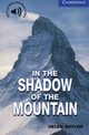 In the Shadow of the Mountain Level 5, Naylor Helen
