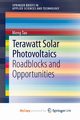 Terawatt Solar Photovoltaics, Tao Meng