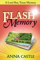 Flash Memory, Castle Anna