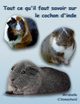 Tout ce qu'il faut savoir sur le cochon d'inde (nouvelle dition), Vomscheid Mirabelle C.