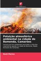 Polui?o atmosfrica ambiental na cidade de Bamenda, Camar?es, Marius Nsoh