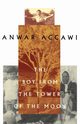 The Boy from the Tower of the Moon, Accawi Anwar
