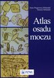 Atlas osadu moczu, Wgrowicz-Rebandel Irena, Rebandel Hanryk