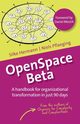 OpenSpace Beta, Hermann Silke