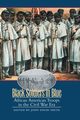 Black Soldiers in Blue, 