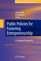Public Policies for Fostering Entrepreneurship, 