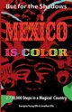 But For the Shadows, Mexico is Color, Young-Ellis Georgina
