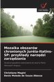 Mozaika obszarw chronionych Juria-Itatins-SP, Magini Christiano