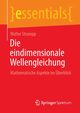 Die eindimensionale Wellengleichung, Strampp Walter
