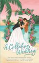 A Callahan Wedding, Murphy Monica