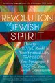 Revolution of the Jewish Spirit, HaLevi DMin Rabbi Baruch