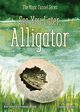 See You Later, Alligator, Long Rachael Freeman