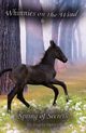 Spring of Secrets, Dorsey Angela