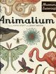 Animalium, Broom Jenny