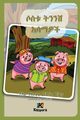 Sostu Tininish Asemawe'Ch - Amharic Children's Book, 