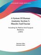 A System Of Human Anatomy, Section 3, Muscles And Fasciae, Allen Harrison