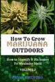 HOW TO GROW MARIJUANA OUTDOORS, SPILOTRO FRANK