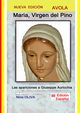 Maria, Virgen del Pino - nuevo, OLIVA NINO