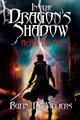 In the Dragon's Shadow, De Villiers Rufin