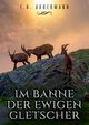 Im Banne der ewigen Gletscher, Achermann F.H.