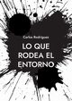Lo que rodea el entorno, Rodrguez Carlos