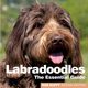 Labradoodles, 