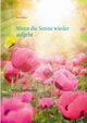 Wenn die Sonne wieder aufgeht, Falkner Petra