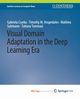 Visual Domain Adaptation in the Deep Learning Era, Csurka Gabriela