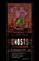 Of Tangible Ghosts, Modesitt L. E. Jr.