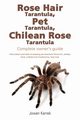 Rose Hair Tarantula, Pet Tarantula, Chilean Rose Tarantula, Karrek Jowan