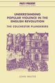 Understanding Popular Violence in the English Revolution, Walter John