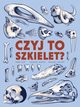 Czyj to szkielet?, Cap Henri, Martin Raphal, Vigourt Renaud