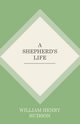 A Shepherd's Life, Hudson William Henry