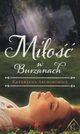 Mio w Burzanach, Archimowicz Katarzyna