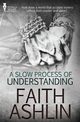 A Slow Process of Understanding, Ashlin Faith