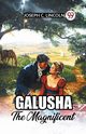 Galusha The Magnificent, Lincoln Joseph C.