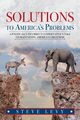 Solutions to America's Problems, Levy Steve