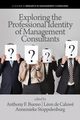Exploring the Professional Identity of Management Consultants, 