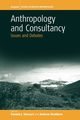 Anthropology and Consultancy, 