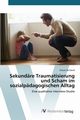 Sekundre Traumatisierung und Scham im sozialpdagogischen Alltag, De David Orazio